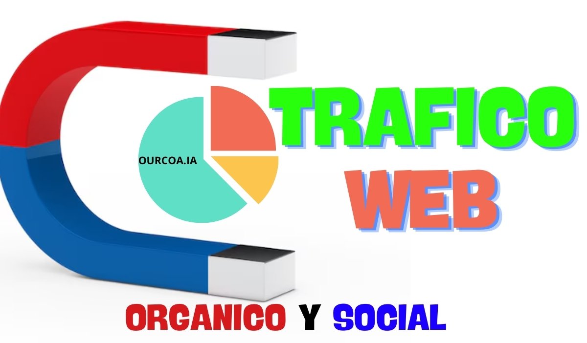 SERVICIOS TRAFICO WEB